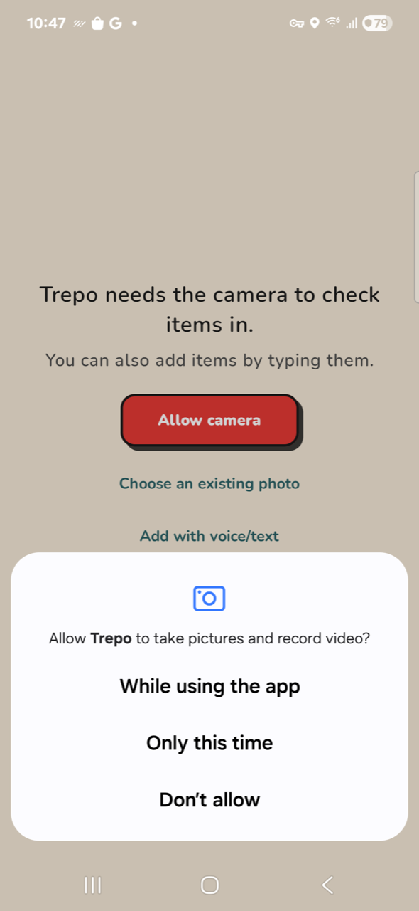 Capture — camera permission prompt