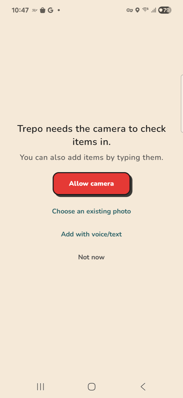 Capture — camera denied fallback
