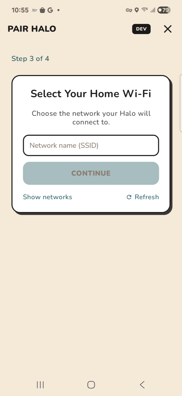 Halo — Step 3a, manual SSID entry